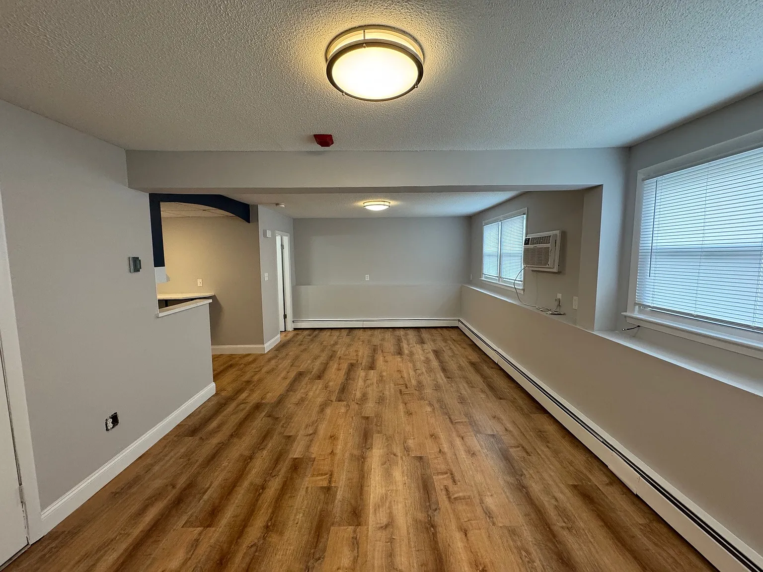 Studio, $1,495 — Photo 3