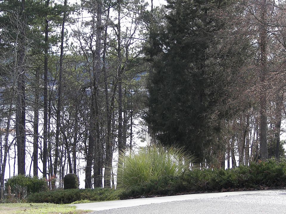 1st image of Block 29 Monticello Lot 17