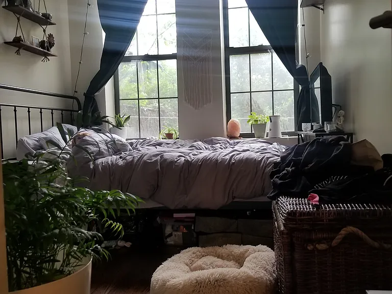 255 Hart St #1B — Photo 11