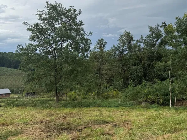 0 Bobs Rd, Hendersonville, NC 28792