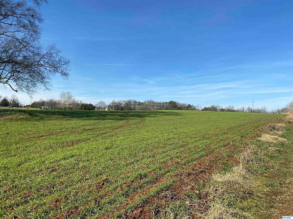 2nd image of 0 County Road 460