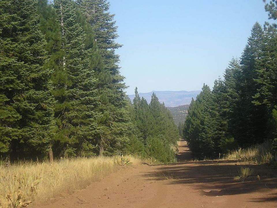 Falcon Rd. Property on left.