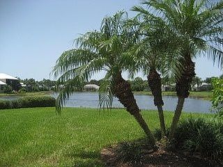 2nd image of 25002 Pinewater Cove Ln