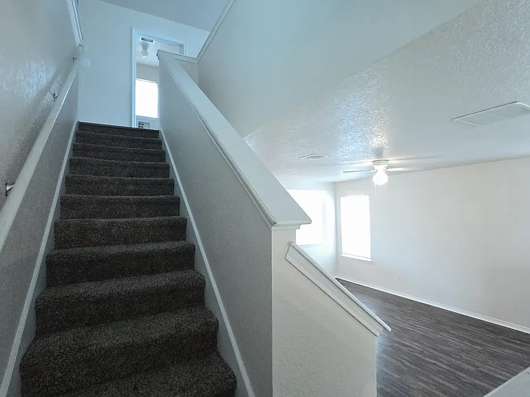8015 Thicket Pass — Photo 11