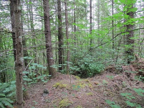 2nd image of 0 SE Gruber Rd