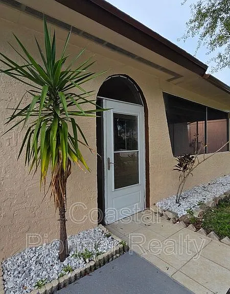 4817 Cypress Tree Dr — Photo 3