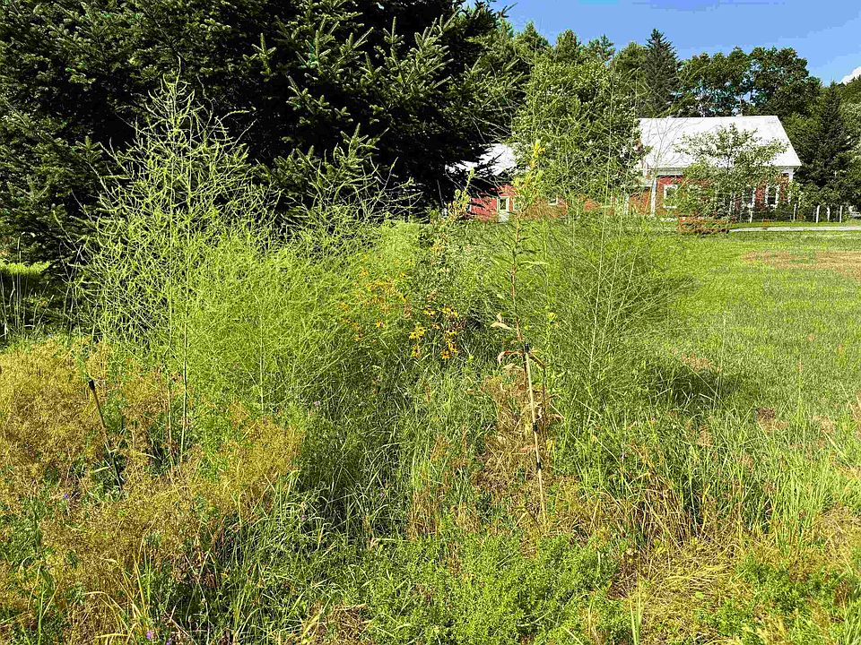 46th image of 6395 Vermont Route 14