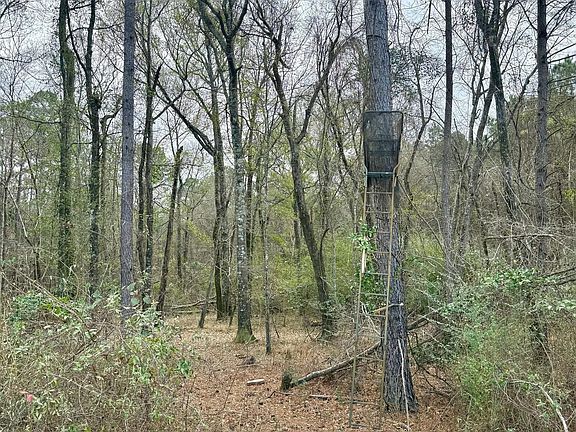 Photo Jan 17 2026 12 14 53 Pm