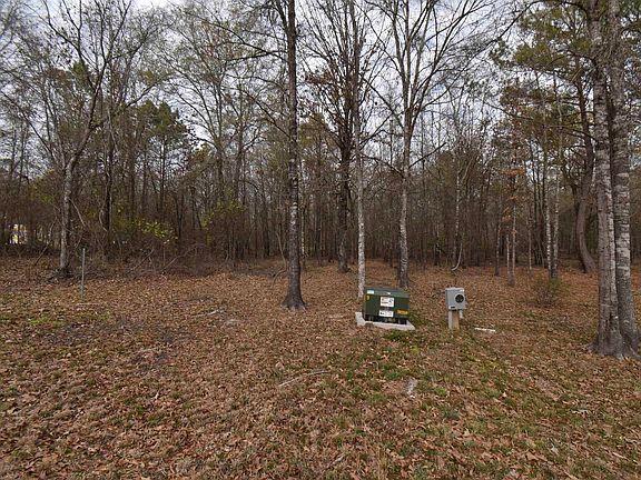 4th image of 250 County Road 2198