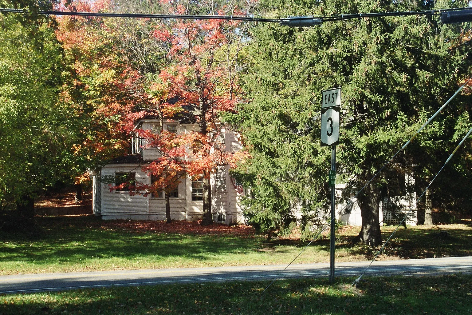 1 bed, 750 sqft, $1,365 — Photo 1