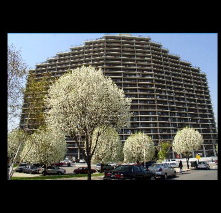 1st image of 2540 Shore Blvd APT 6C