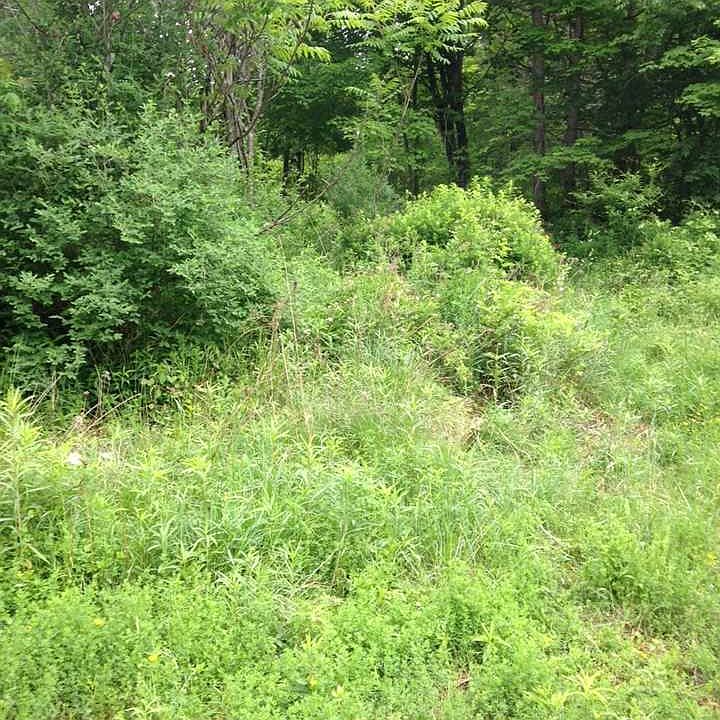 1st image of 1364 Old Route 17