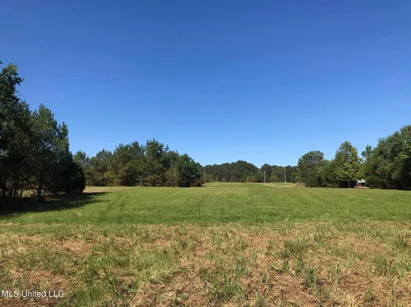 0 Volley Campbell Rd, Terry, MS 39170