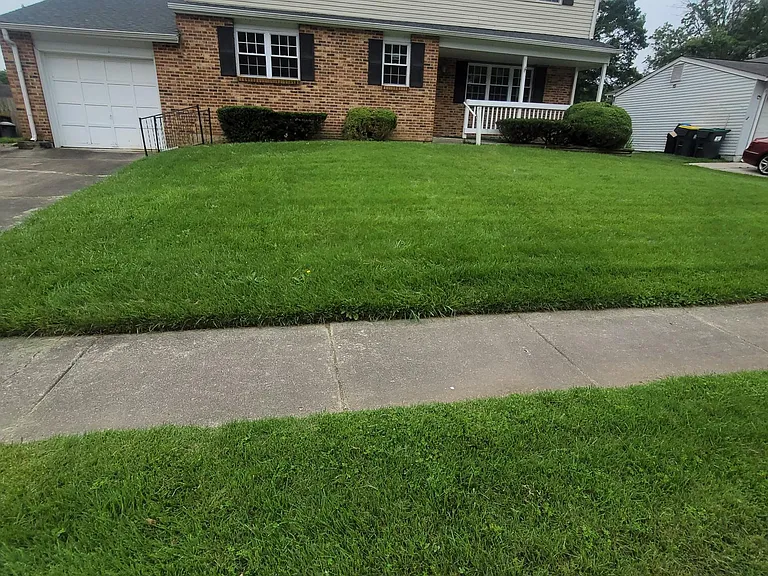 FRONT OF THE HOUSE
