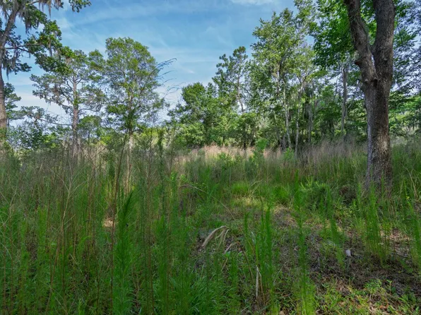 8326 Shell House Rd, Edisto Island, SC 29438