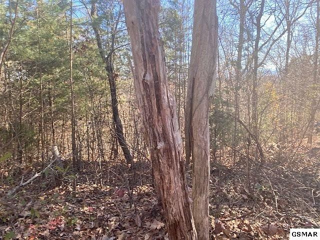 1st image of 4 S Cunningham Rd #4