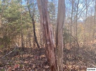 4 S Cunningham Rd #4, Seymour, TN 37865