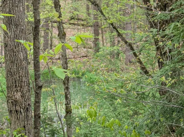 0 Union Hill Rd, Candor, NY 13743