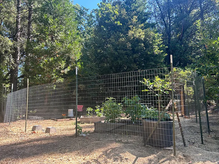 17347 Sunrise Rd — Photo 22