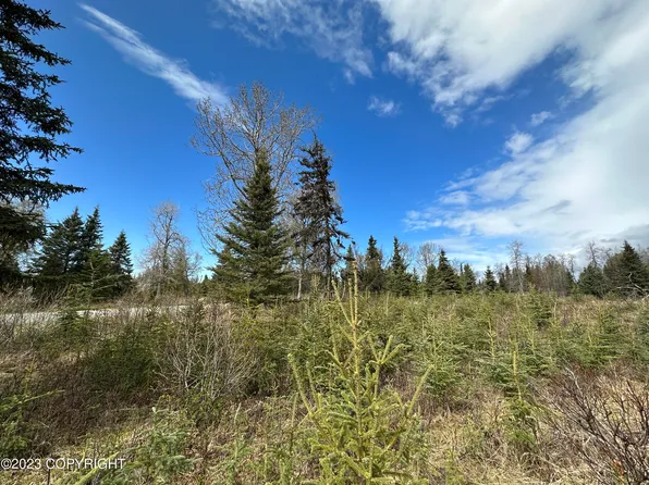 11 Aspen Ave, Ninilchik, AK 99639