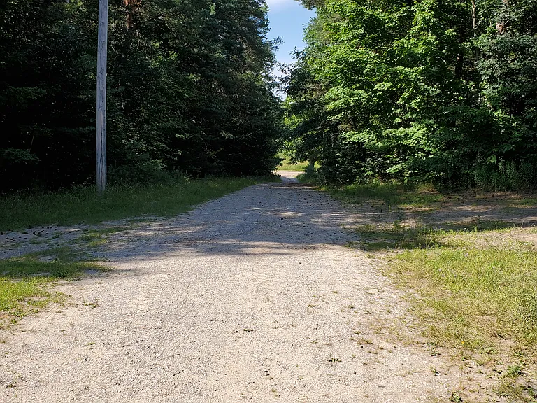 11804 Cedar Creek Rd — Photo 13