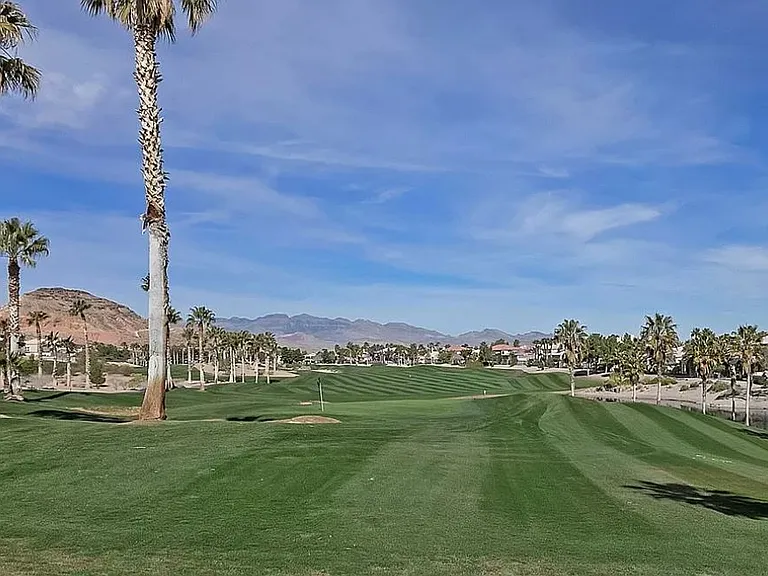282 Caddy Bag Ct — Photo 91
