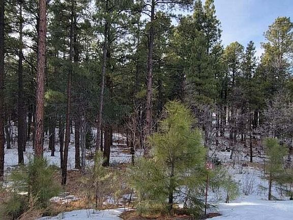 5th image of 1088 Timbernook Xing Lot 24