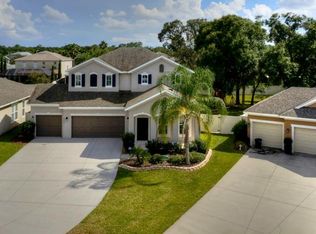8244 Nectar Ridge Ct, Odessa, FL 33556