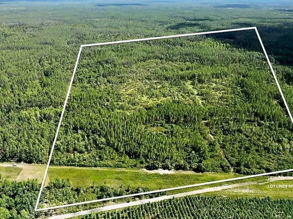 123 NW County Road 348, Mayo, FL 32066