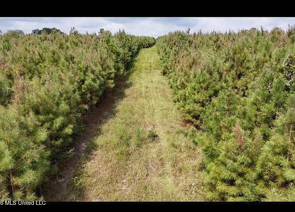 2nd image of Ten Mile Creek Rd