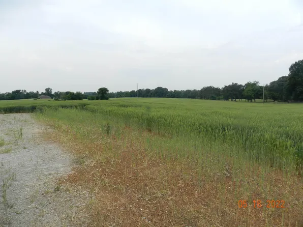 Zarecor Rd, Newbern, TN 38059