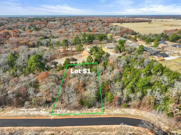 Private Road 6305 Lot 51, Mineola, TX 75773