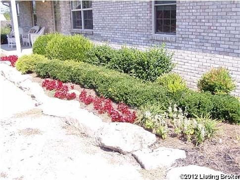 4th image of 220 Pin Oak Dr