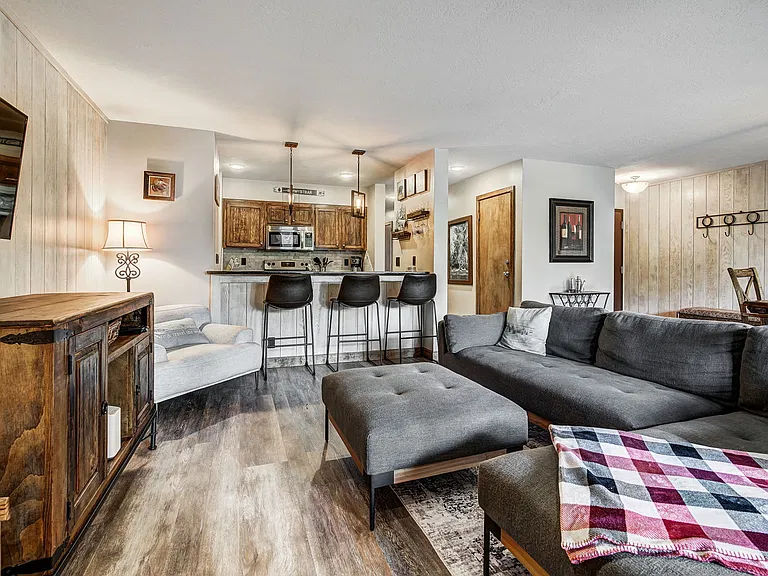 Living room and kitchen bar