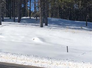 1396 Roberts Ranch Rd #1402, Woodland Park, CO 80863