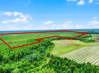 S Boggy Marsh Rd, Clermont, FL 34714