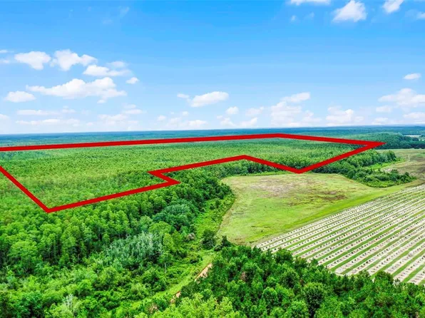 S Boggy Marsh Rd, Clermont, FL 34714