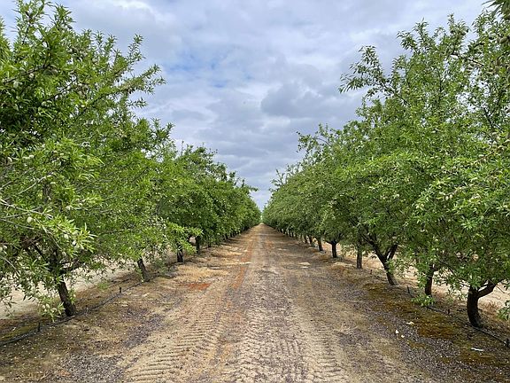 2nd image of 12251 E Jefferson Ave