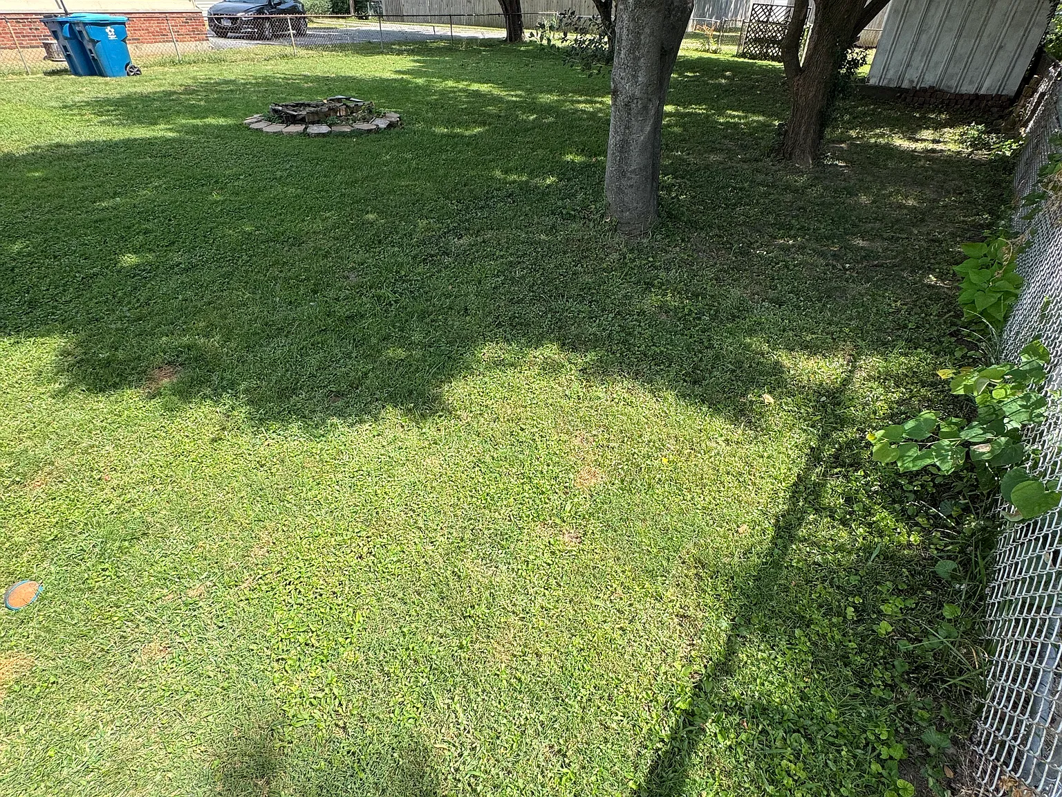 3 bed, 763 sqft, $1,250 — Photo 4