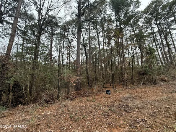 Soileau Dr, Many, LA 71449