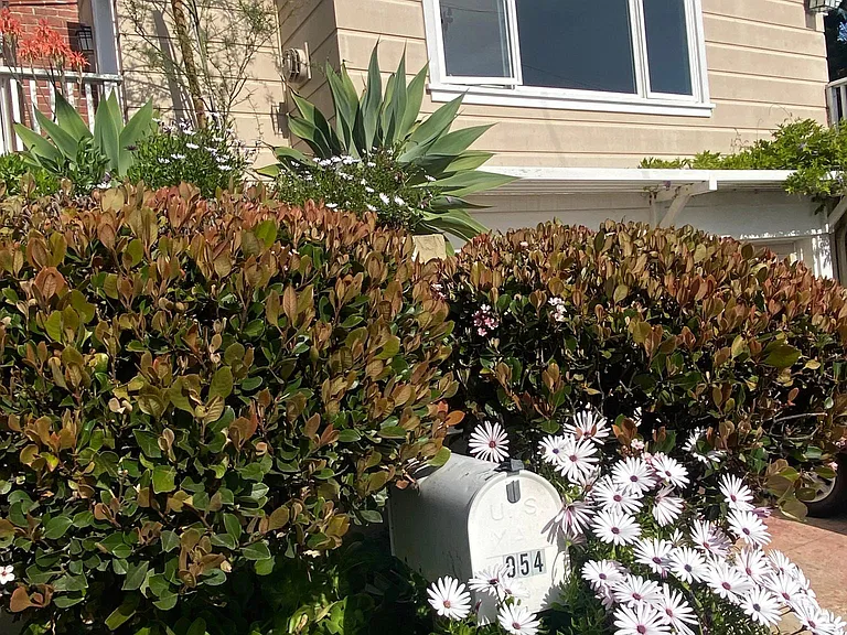 954 Temple Ter — Photo 18