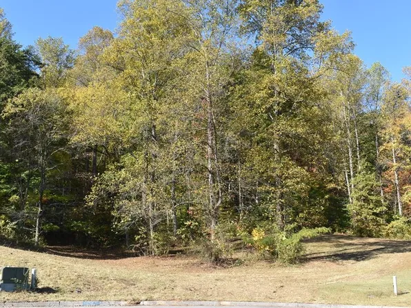 0 Briar Ridge Ln Lot 6, Strawberry Plains, TN 37871