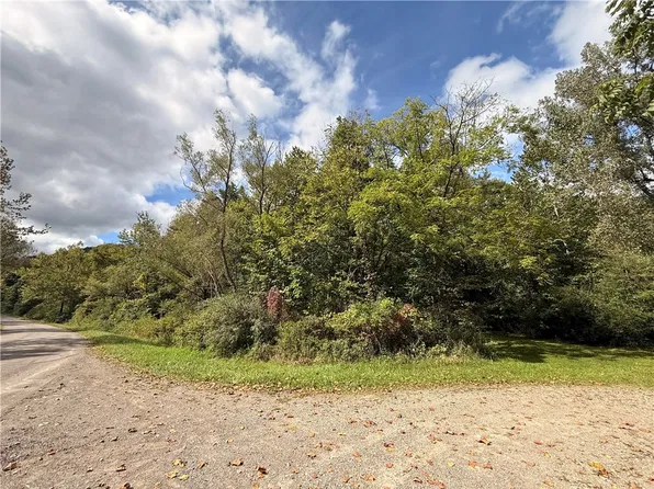 Poags Hole Rd Lot 67, Dansville, NY 14437