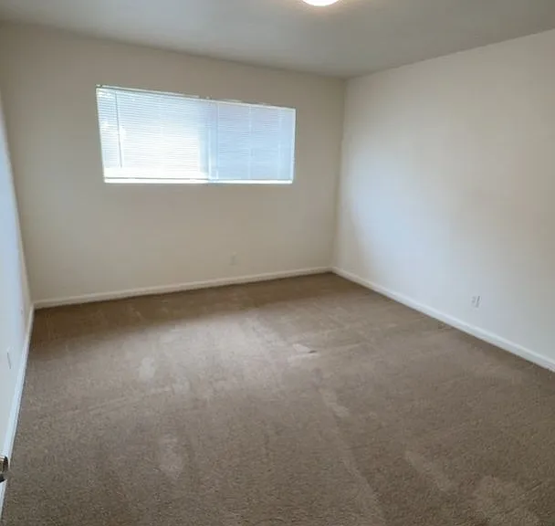 4198 — Photo 12