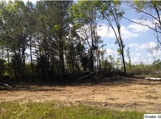 700 Mahaffey Rd, Eastaboga, AL 36260