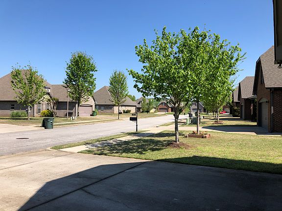 Summer on Morningwalk Lane