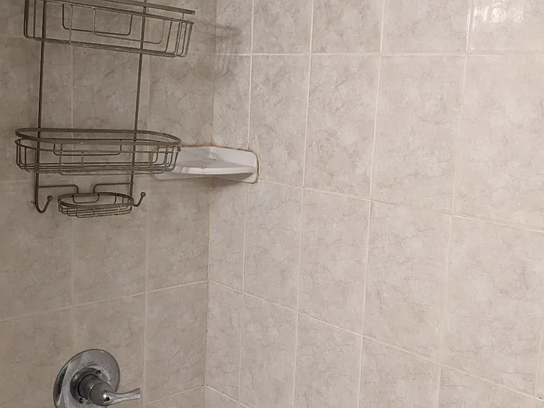 Full bath and shower.