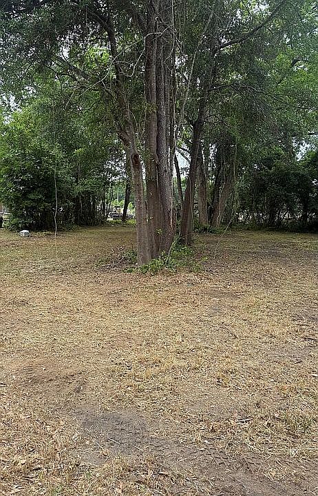 2nd image of 109 Marcus St
