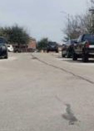 Exterior Neighborhood (street photo)