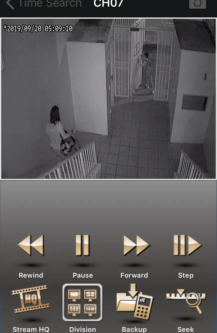 1 bed, $1,500 — Photo 2